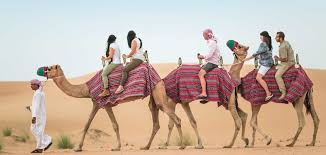 Desert Safari Booking Timings: